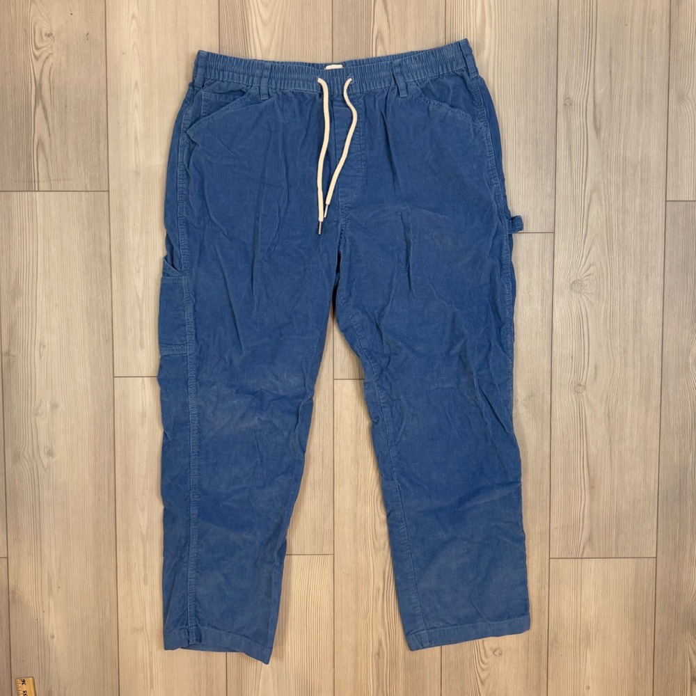 BDG Urban Outfitters Blue Corduroy Carpenter Pants Elastic Waist XL